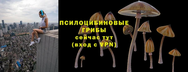 PSILOCYBIN Верхний Тагил